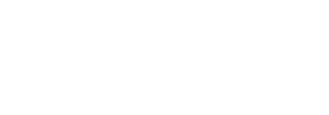 Scavi & Ray